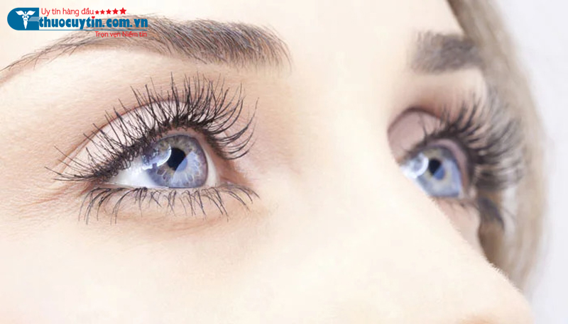 Thuốc bổ mắt giúp chăm sóc và bảo vệ sức khỏe đôi mắt