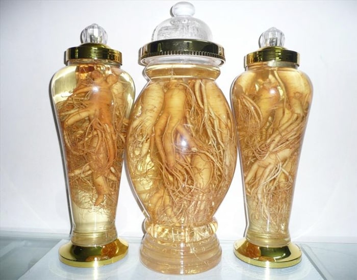 Bài thuốc ngân rượu chữa yếu sinh lý từ Nhân sâm