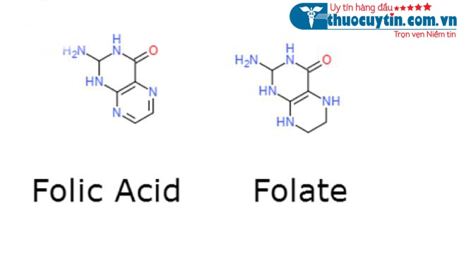 Axit folic rất quan trọng đối với phụ nữ mang thai