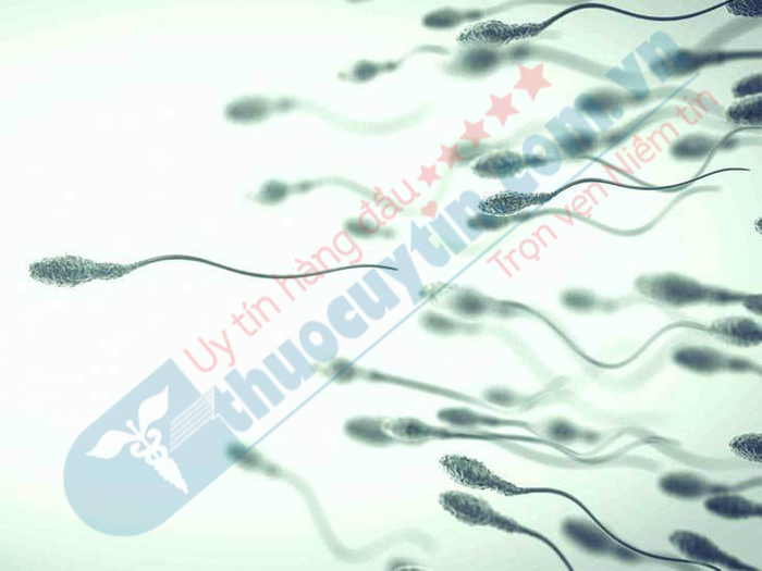chất lượng tinh trùng thay đổi khi dùng thuốc Vacitus