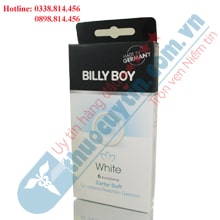 BAO CAO SU BILLY BOY TRẮNG DỊU ÊM - WHITE
