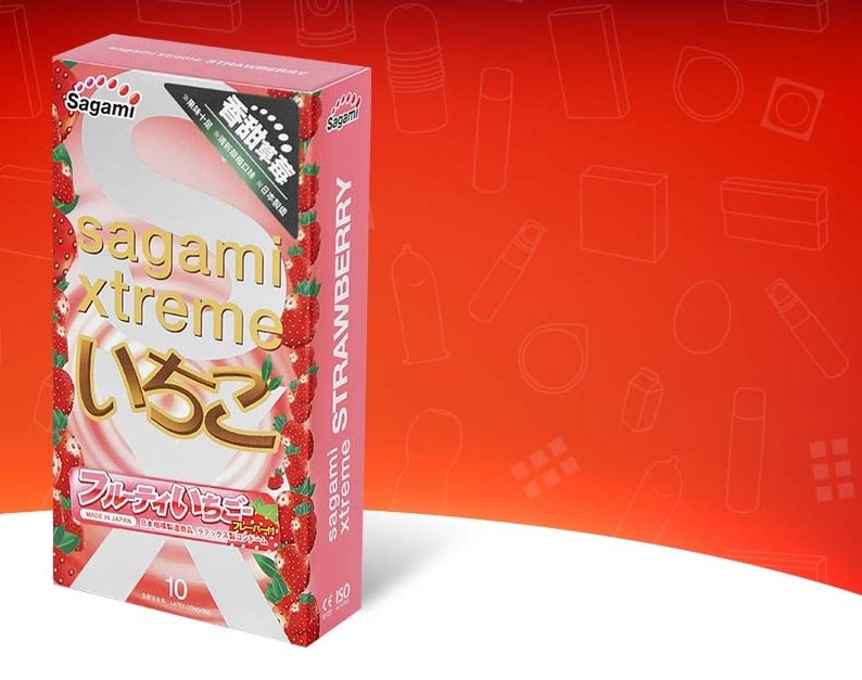 BAO CAO SU SAGAMI - NHẬT BẢN