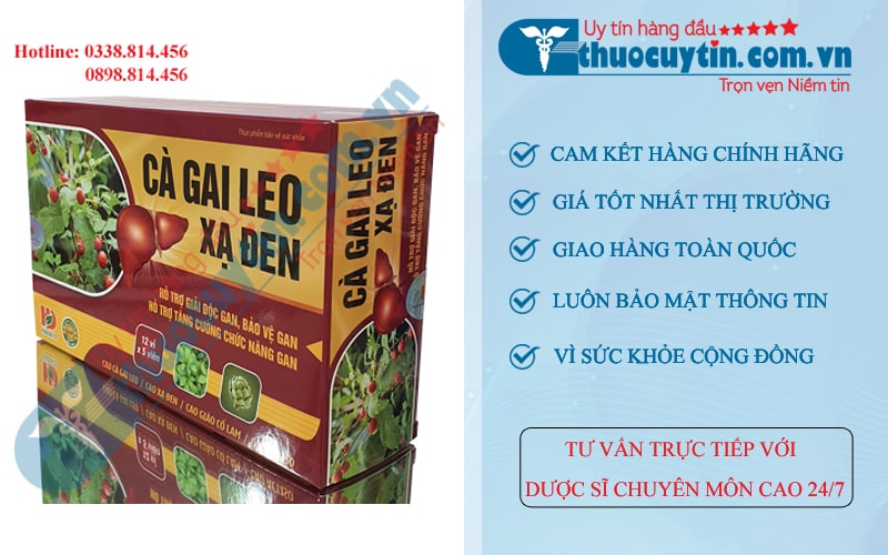 Cà Gai Leo Xạ Đen bổ gan