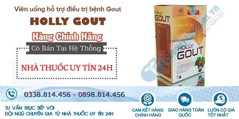 Mua viên uống Holly Gout chính hãng tại Nhà thuốc uy tín 24h