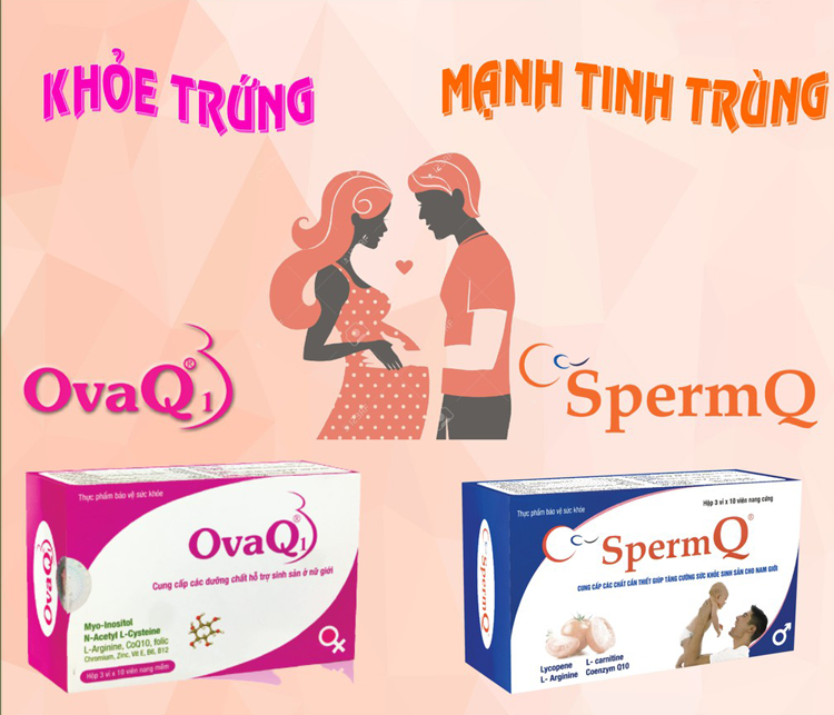 Cặp đôi Ovaq1 SpermQ khỏe trứng mạnh tinh trùng