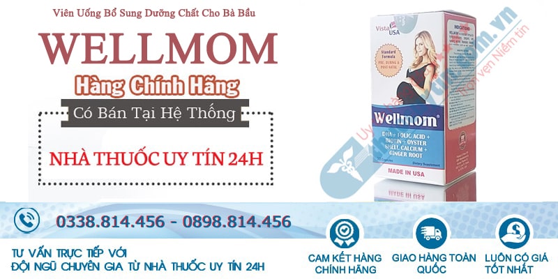 Thuốc Wellmom