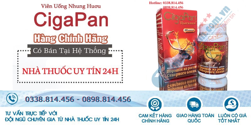 Cigapan chính hãng