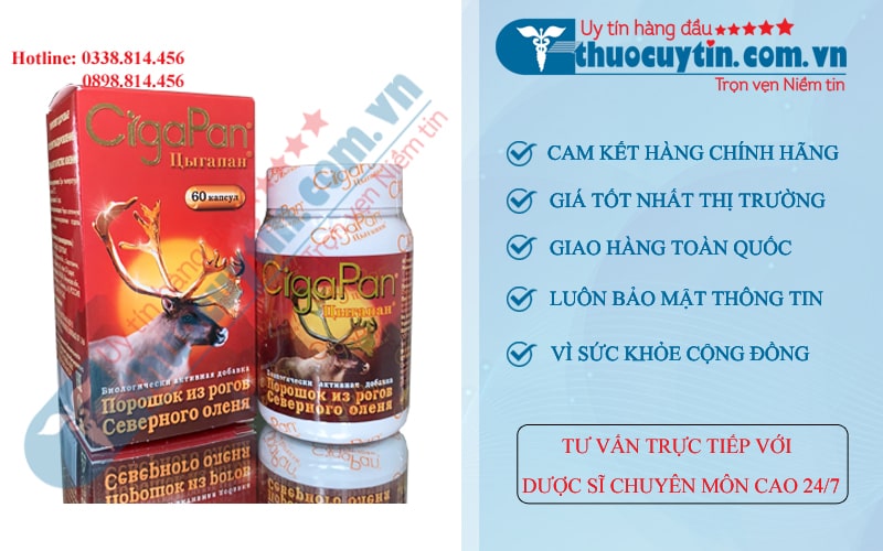 Nhung hươu Cigapan Nga