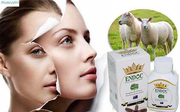 Công dụng của Endoc