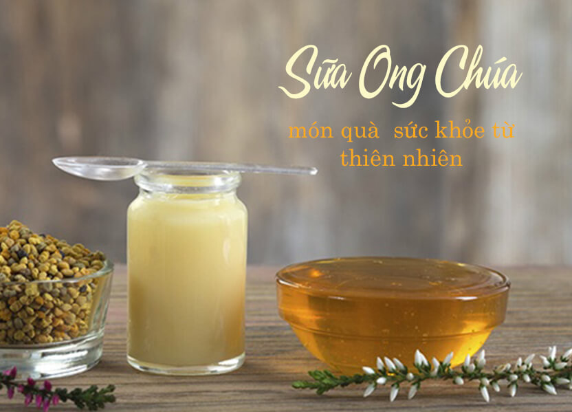 VIÊN UỐNG SỮA ONG CHÚA ÚC COSTAR ROYAL JELLY 1610MG 365 VIÊN