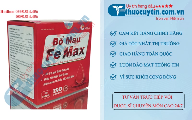 thuốc bổ máu Fe Max 100 viên