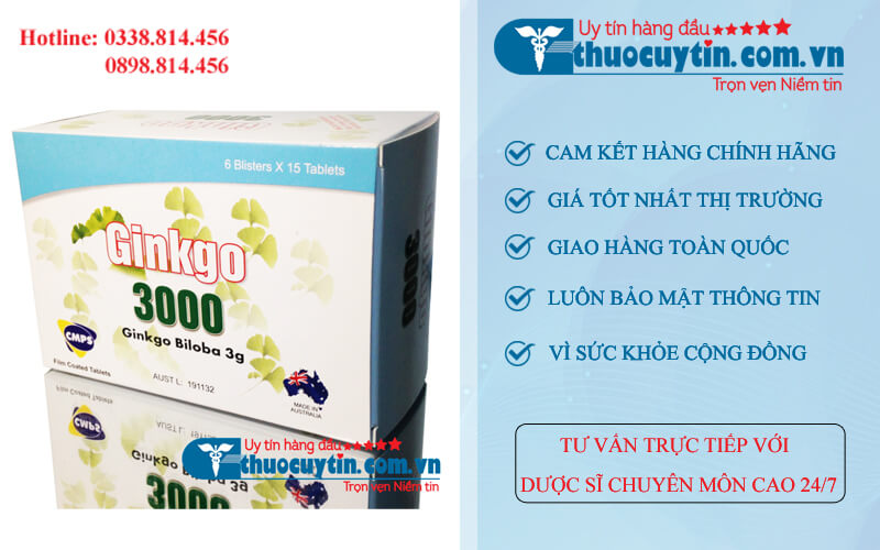 hoạt huyết dưỡng não