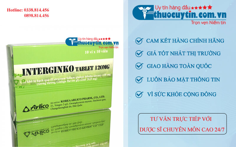 Interginko Tablet 120mg