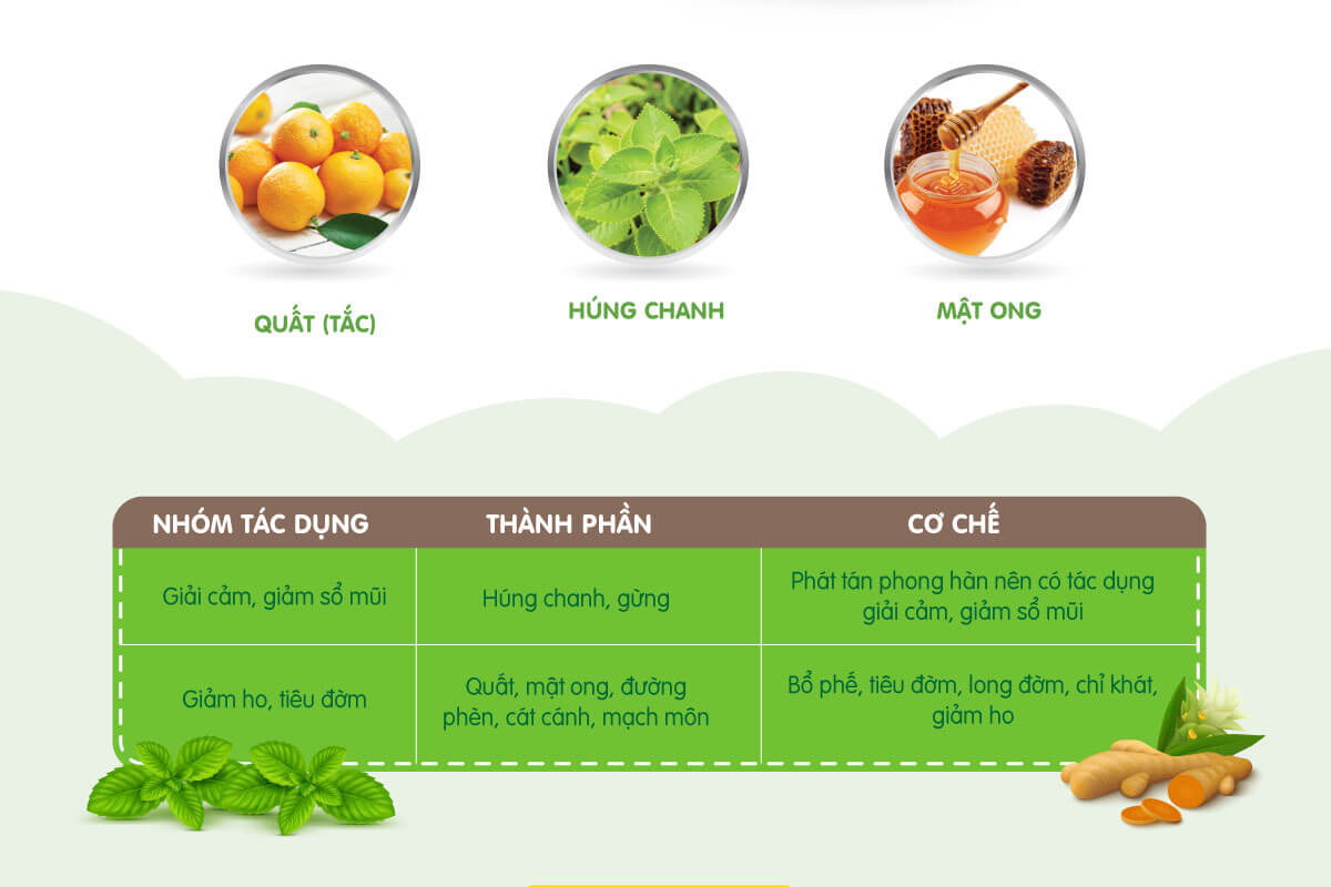 SIRO HO CẢM ÍCH NHI NHÀ THUỐC UY TÍN 24H