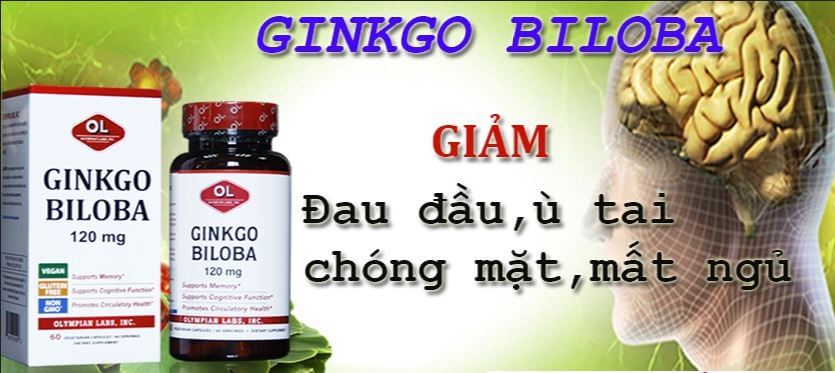 Tác dụng của Ginkgo biloba 120mg