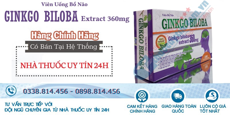 thuốc Ginkgo biloba extract 360mg giá bao nhiêu