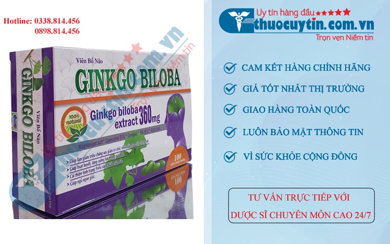 Viên uống bổ não Ginkgo biloba extract 360mg