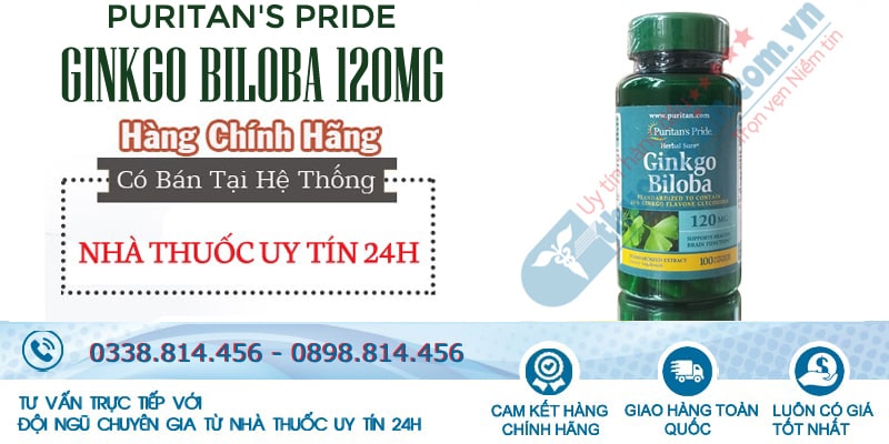 Ginkgo Biloba Puritan's Pride 120mg 100 viên của Mỹ