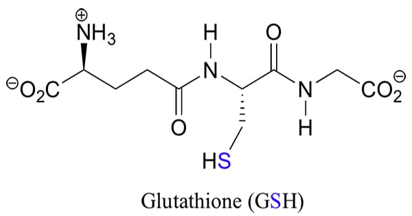 Glutathione là gì