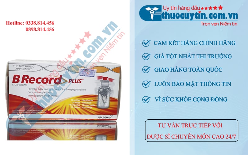 B record bổ sung L-Carnitine