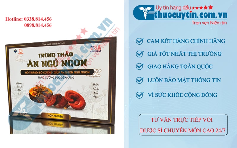 Trùng thảo ăn ngủ ngon