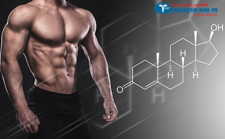 Sản phẩm còn giúp tăng khả năng sản sinh testosterone