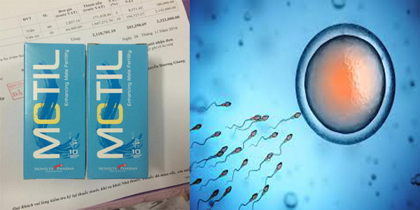 MOTIL TĂNG CƯỜNG SỐ LƯỢNG, CHẤT LƯỢNG TINH TRÙNG