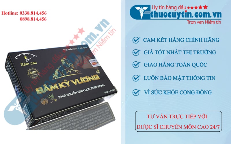 Thuốc Sâm kỳ vương điều trị yếu sinh lý
