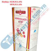 HERBAGLUCO - HỖ TRỢ GIẢM ĐƯỜNG HUYẾT, GIẢM BIẾN CHỨNG TIỂU ĐƯỜNG
