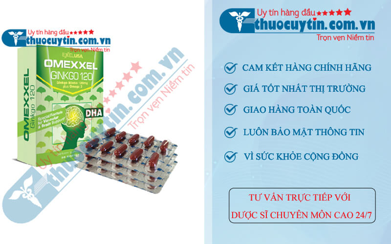 Omexxel Ginkgo 120mg