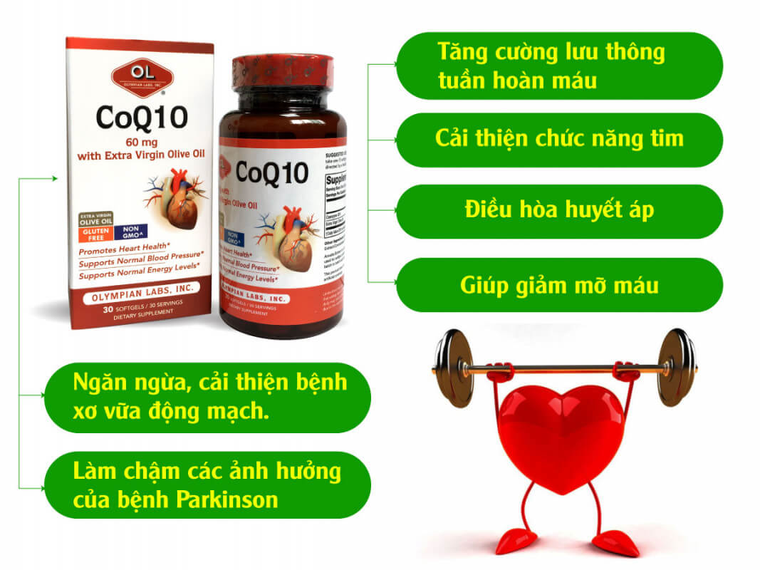 Tác dụng của CoQ10