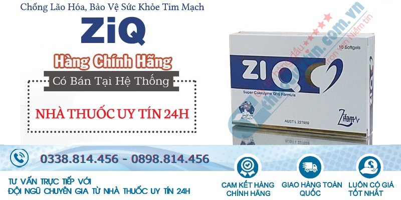 thuốc ZiQ bảo vệ sức khỏe tim mạch